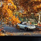 1/64 Handmade Autumn Mountain Road Diorama Scene